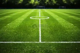 聚焦外交盛,揭秘,尔滨,开云体育,开云体育官网,开云体育app,开云体育app下载